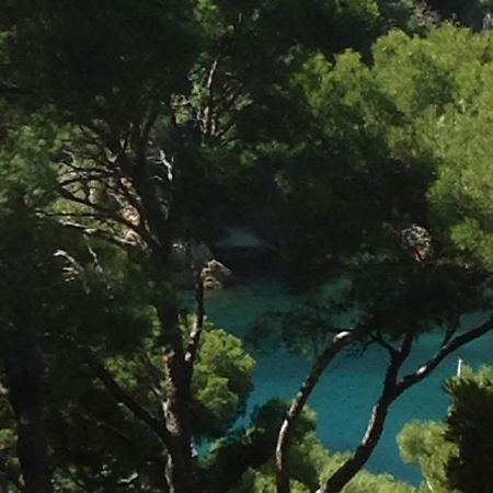 Les Terrasses Des Anthenors Bed & Breakfast Ensues-la-Redonne Exterior photo