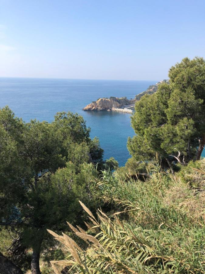 Les Terrasses Des Anthenors Bed & Breakfast Ensues-la-Redonne Exterior photo