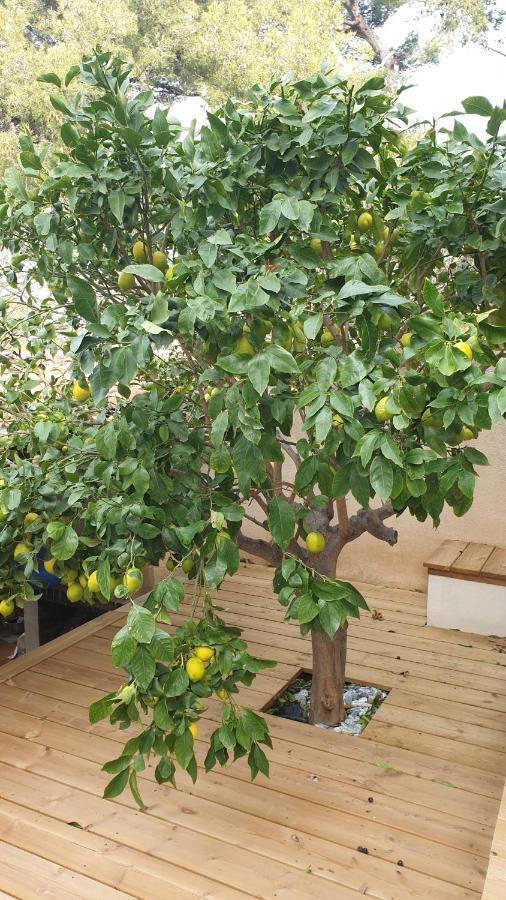 Les Terrasses Des Anthenors Bed & Breakfast Ensues-la-Redonne Exterior photo